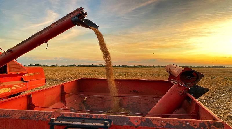 Venezuela impulsa su producción nacional