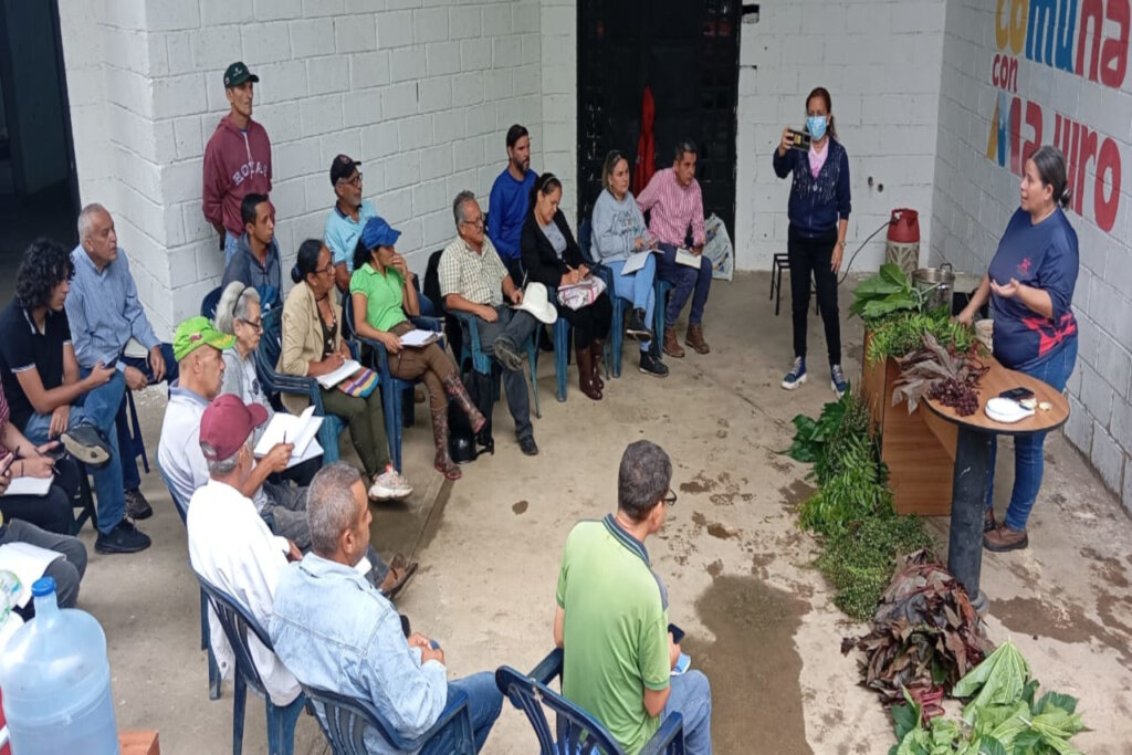 Productores de café  innovan cultivos en Portuguesa